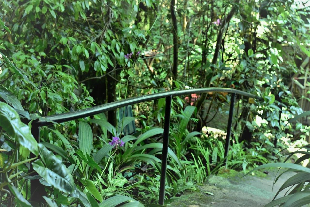 Samadhi Nature Resort Ella Kültér fotó