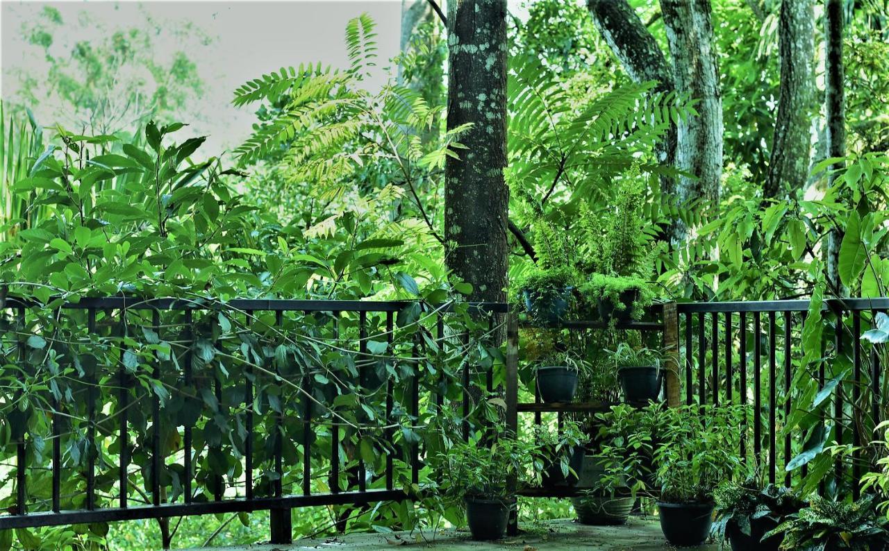 Samadhi Nature Resort Ella Kültér fotó
