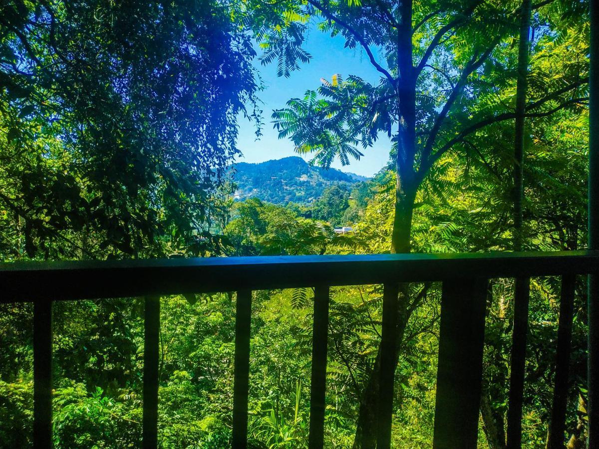 Samadhi Nature Resort Ella Kültér fotó